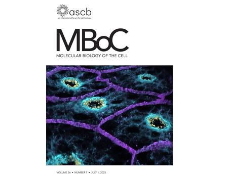 MBoC