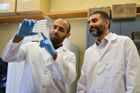 Mousa, right, and Mohamed Elbehairy, a post-doctoral scholar, work in the Mousa Lab.