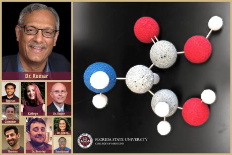 Sanjay Kumar, his team, and a D-serine molecule.