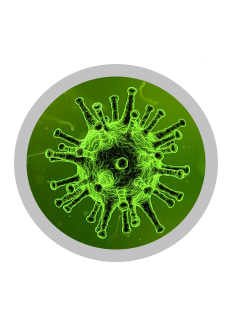 Picture of a virus under a microscope. Picture has gray circle around it.
