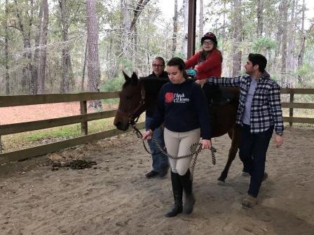Hands and Hearts for Horses