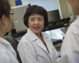 Biomedical sciences professor Yi Ren