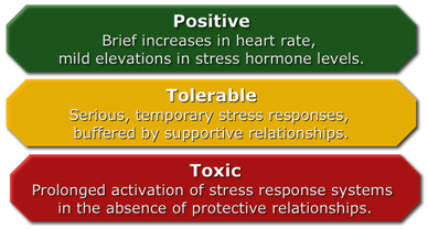 Toxic Stress Infograph