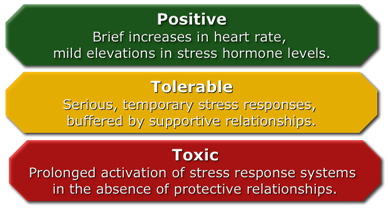 What is toxic stress?