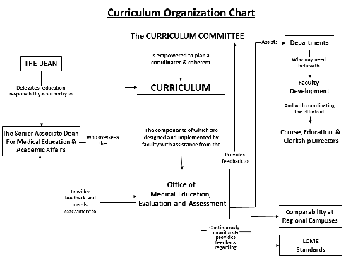 Fsu Org Chart