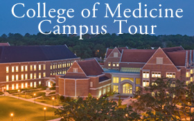 florida state university campus tour schedule